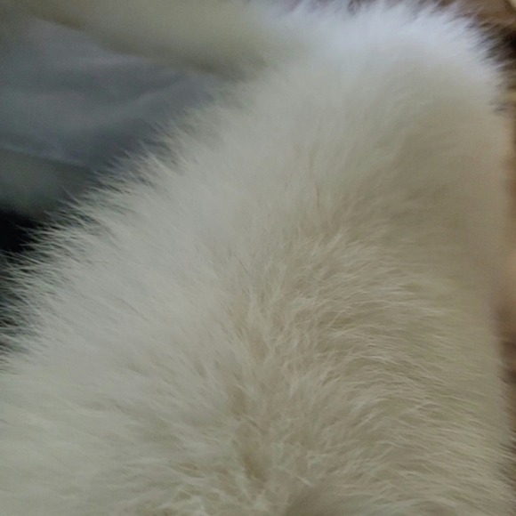 White Fox Fur Boa Wrap with Tails - Picture 5 of 17